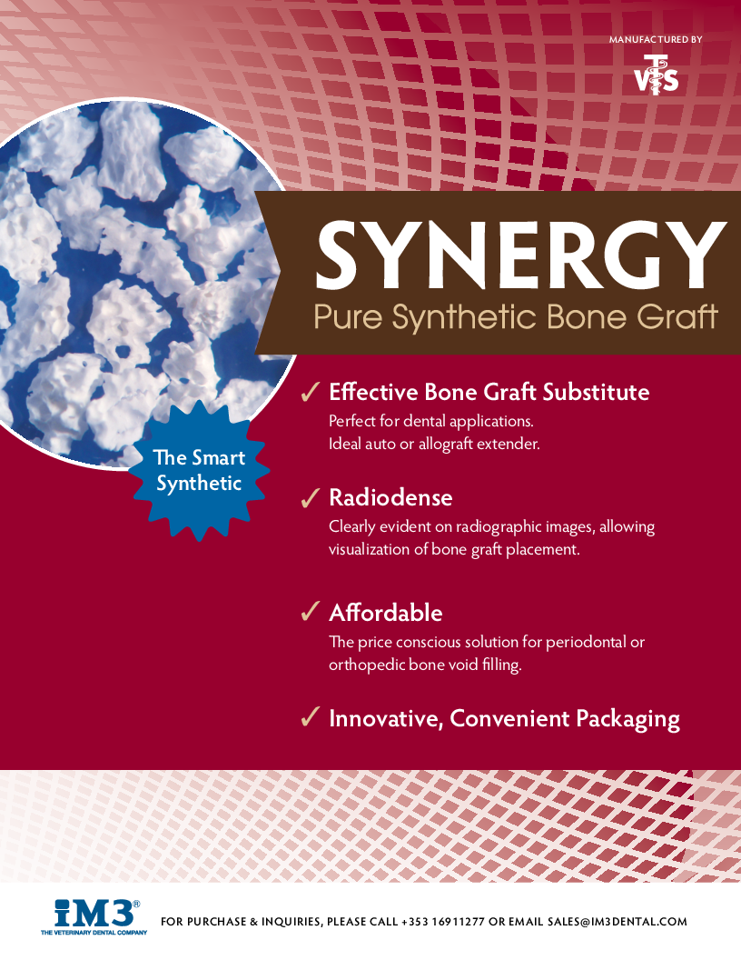 

Synergy Flyer iM3

