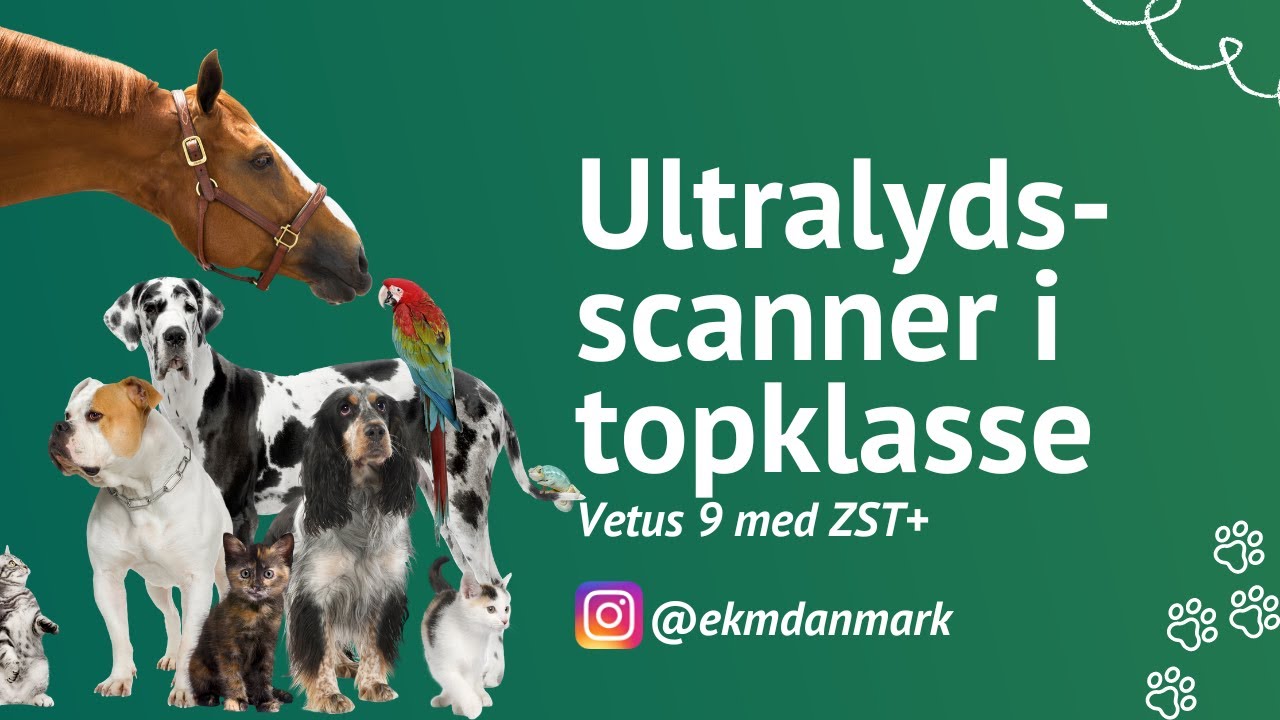 Ultralydsscanner Vetus 9, Mindray