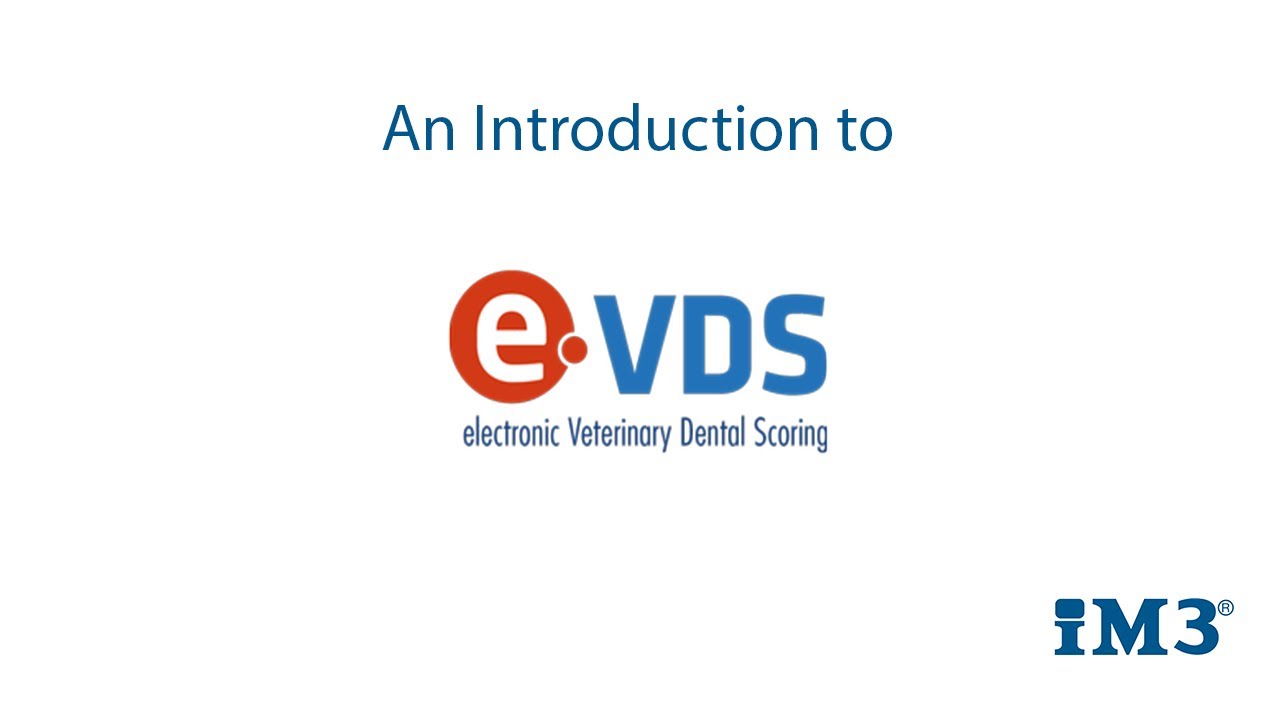 e-VDS Plus Dental Charting System