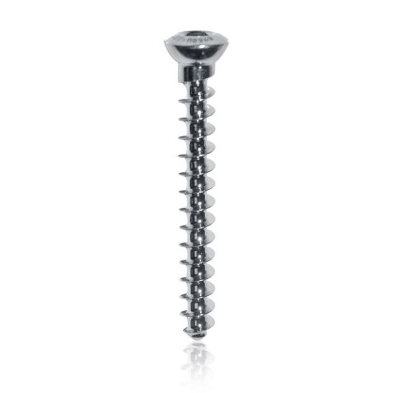 Cancellous Screw