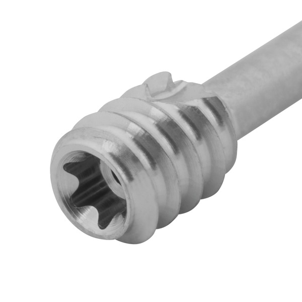 Micro compression screw