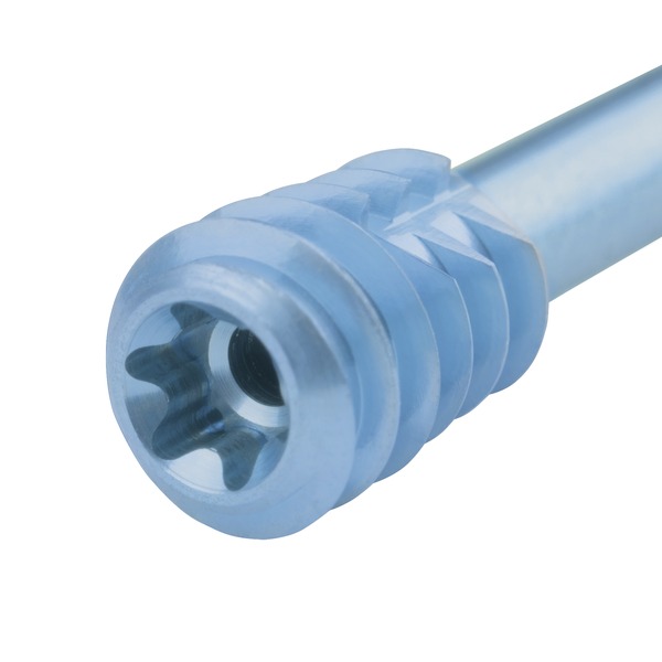 Compression screw