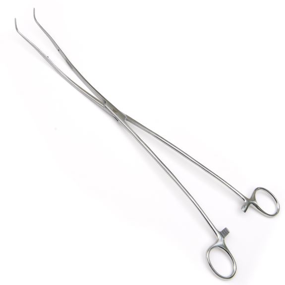 Periodontal Forceps