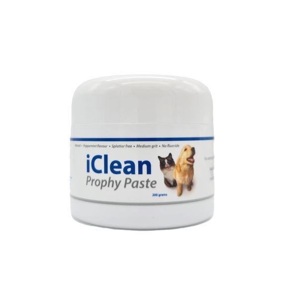 iClean Prophy poleringspasta, medium slibeevne