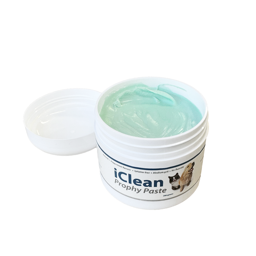 iClean Prophy poleringspasta, medium slibeevne