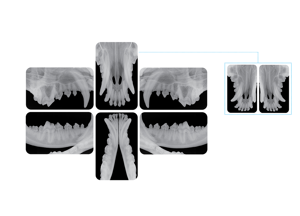 Dental røntgenfremkalder IM3 CR8 VET