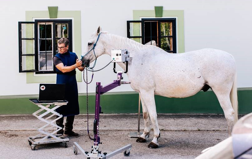 STAT-X ESPLÉNDIDO, stativ til Equine røntgen